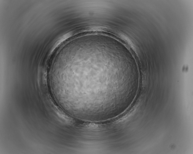 X0000091510827200708171154
