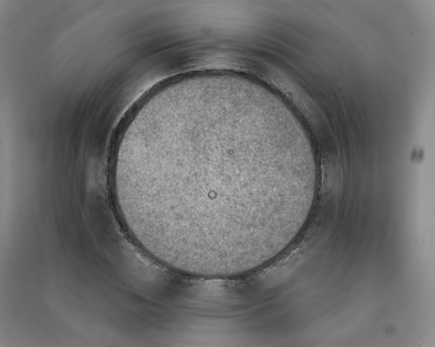X0000091510828200708171154