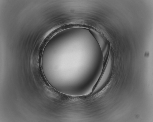 X0000091510830200708171154