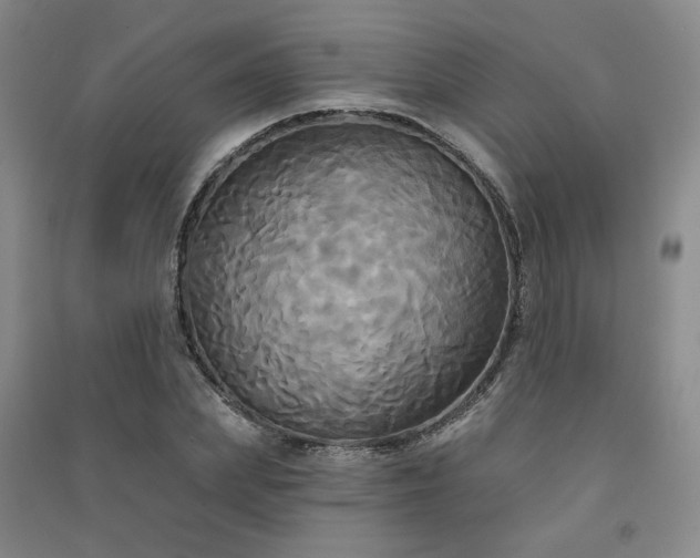 X0000091510831200708171154