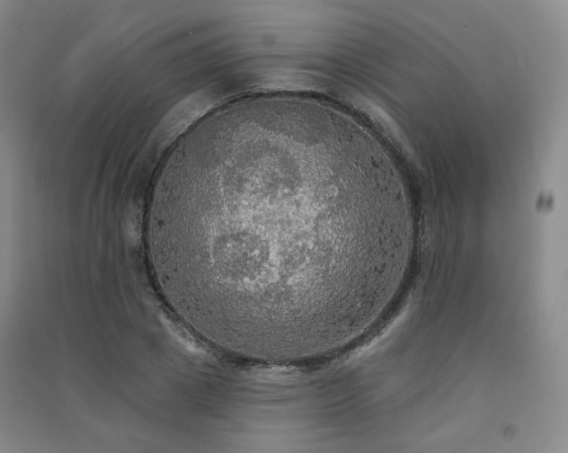 X0000091510833200708171154