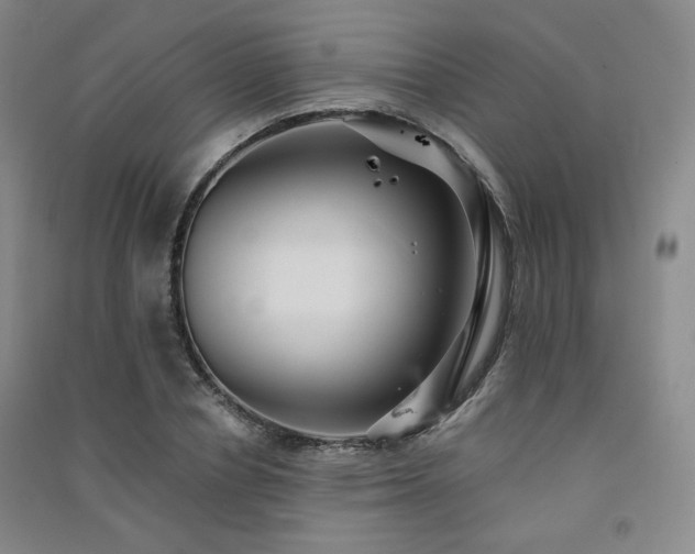 X0000091510834200708171154