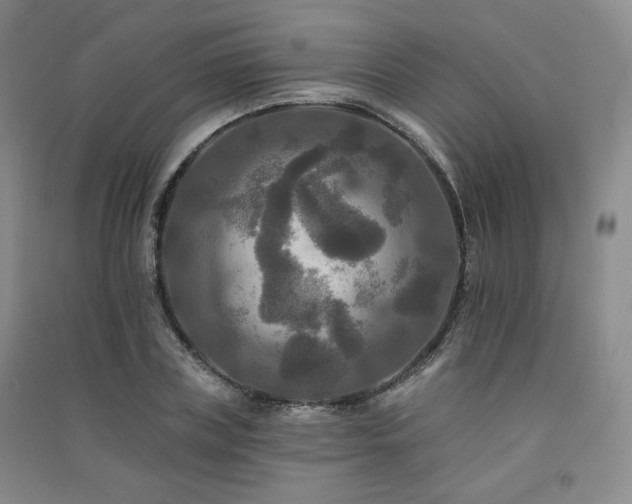 X0000091510835200708171154