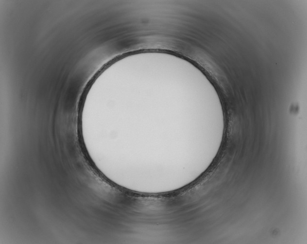 X0000091510836200708171154