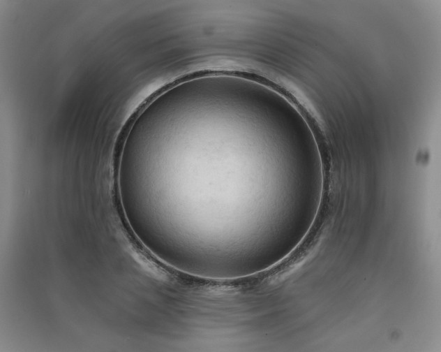 X0000091510837200708171154