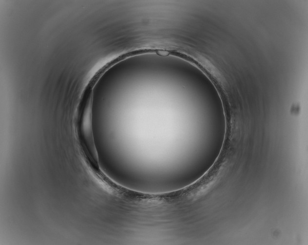X0000091510838200708171154