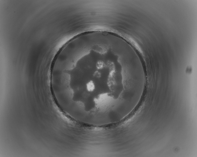 X0000091510839200708171154