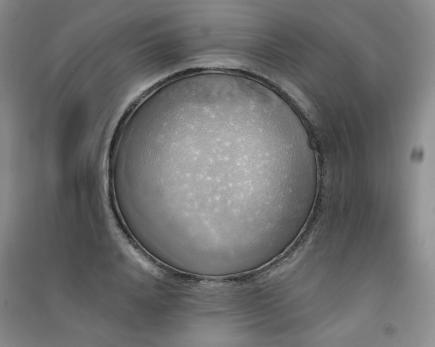 X0000091510840200708171154