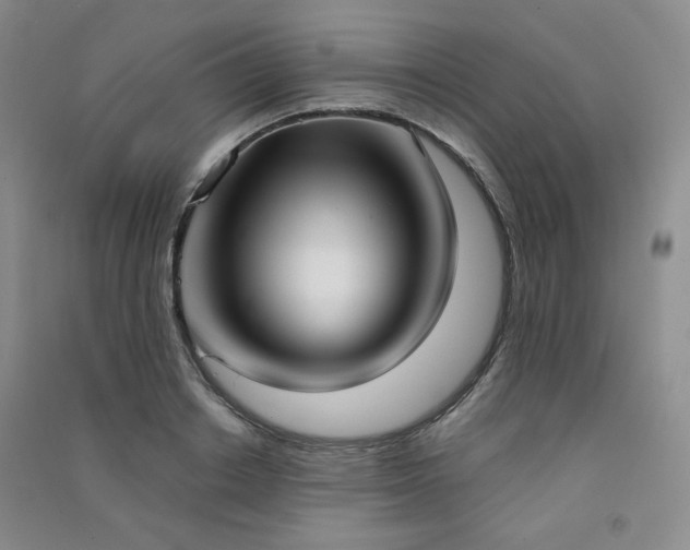 X0000091510842200708171154