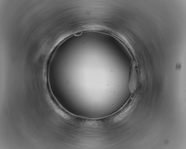X0000091510843200708171154