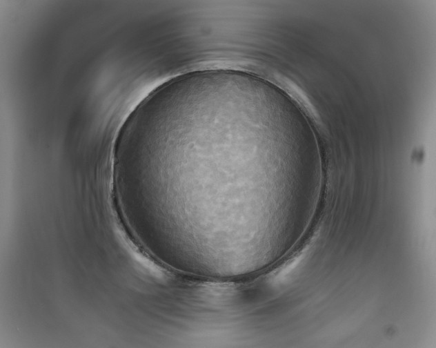 X0000091510844200708171154