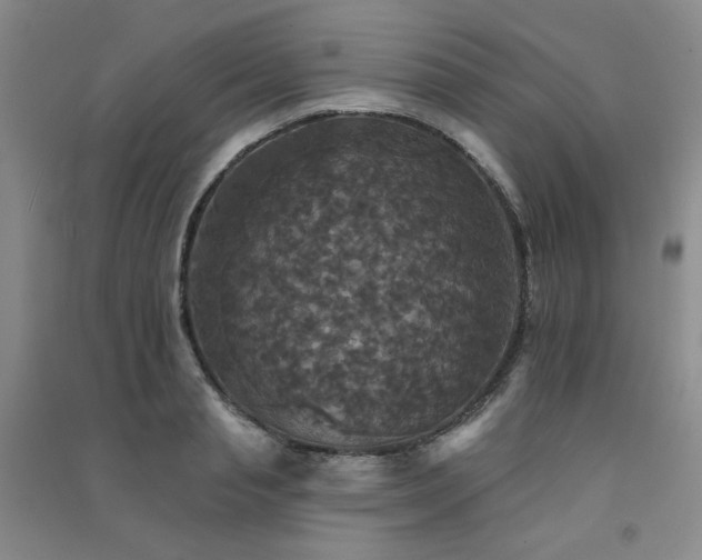 X0000091510845200708171154
