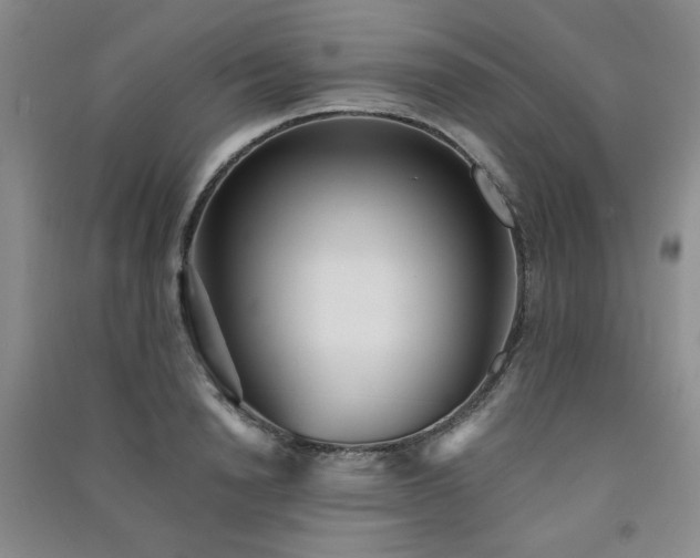 X0000091510846200708171154
