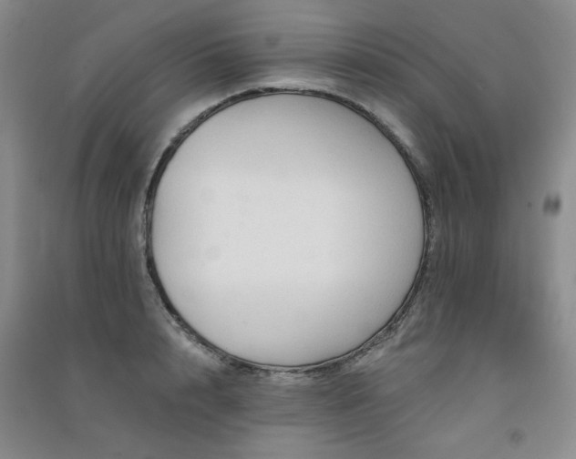 X0000091510848200708171154