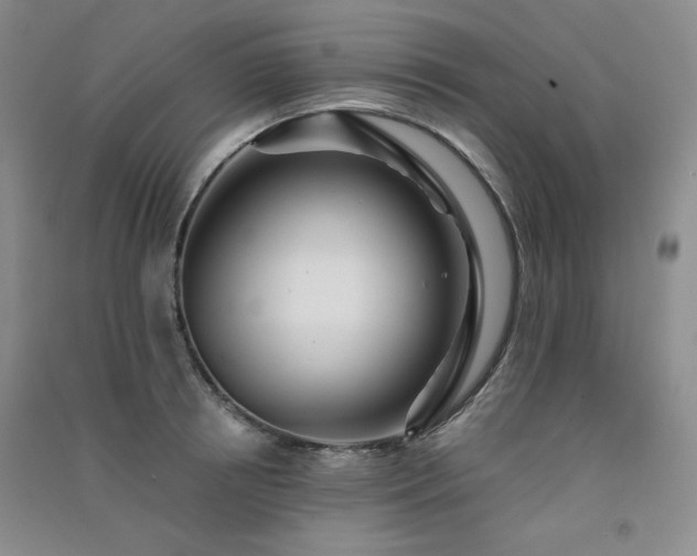 X0000091510850200708171154