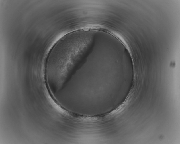 X0000091510851200708171154