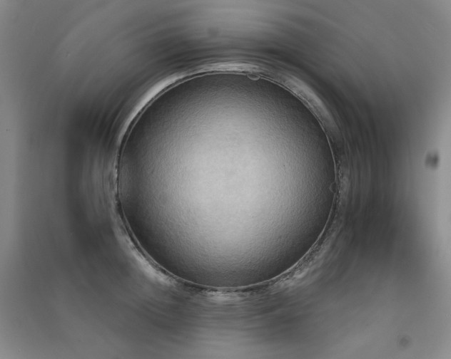 X0000091510852200708171154