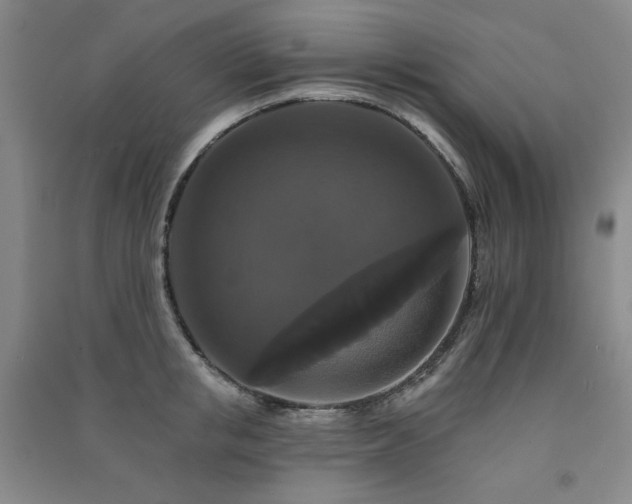 X0000091510853200708171154