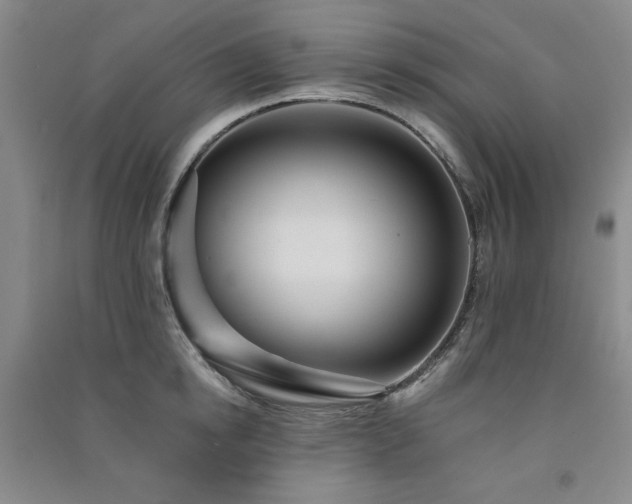 X0000091510854200708171154