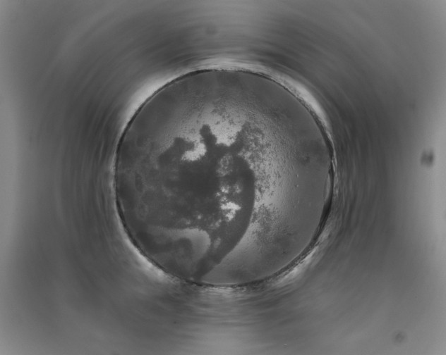 X0000091510855200708171154