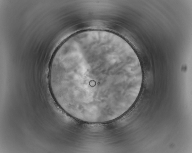 X0000091510856200708171154