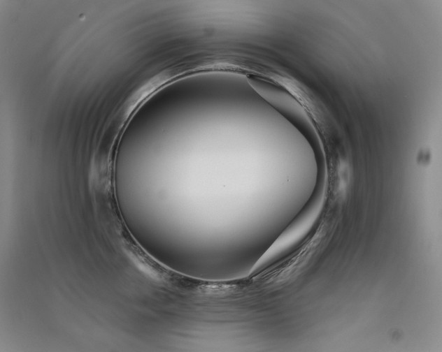X0000091510858200708171154