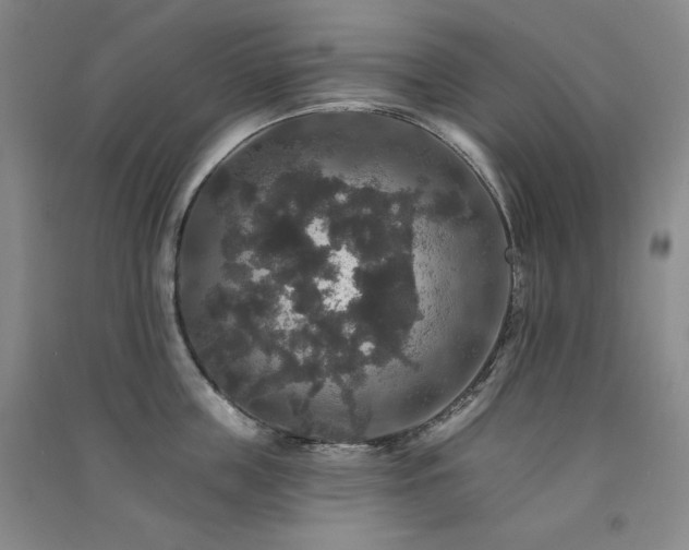 X0000091510859200708171154