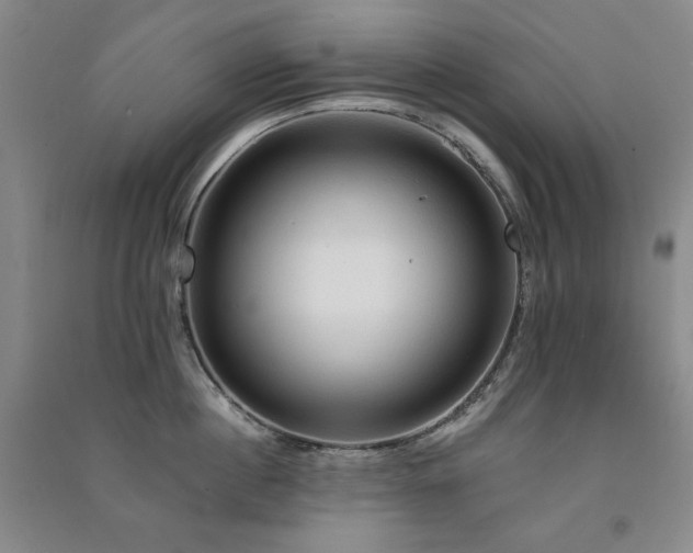 X0000091510860200708171154