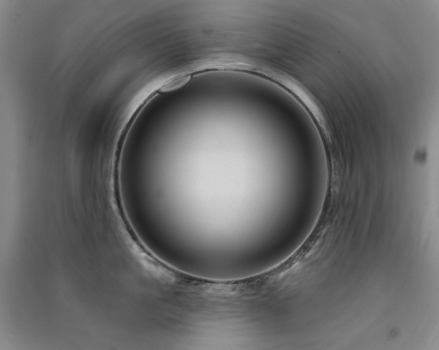 X0000091510861200708171154
