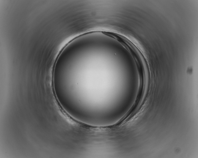 X0000091510862200708171154