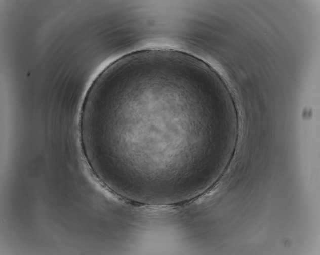 X0000091510864200708171154