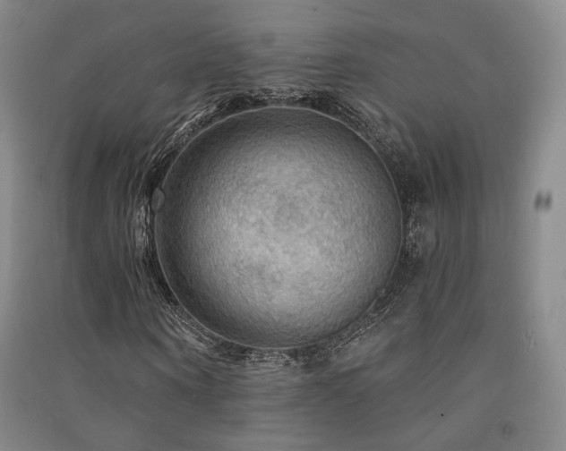 X0000091510866200708171154