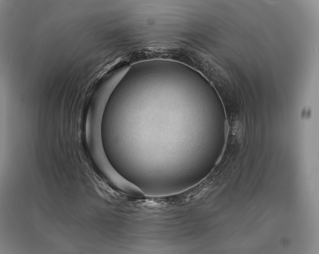 X0000091510868200708171154