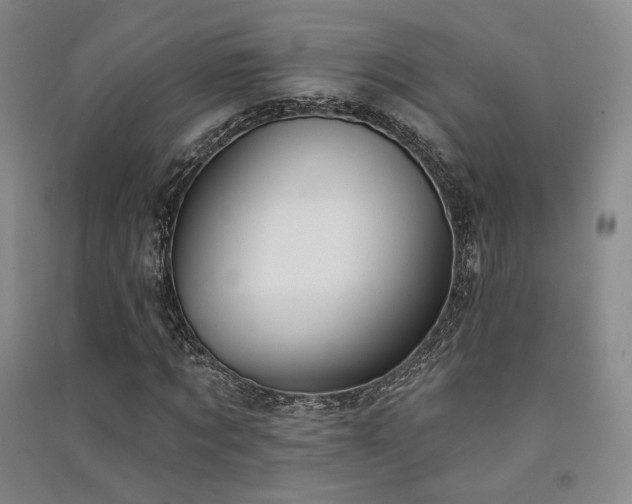 X0000091510869200708171154