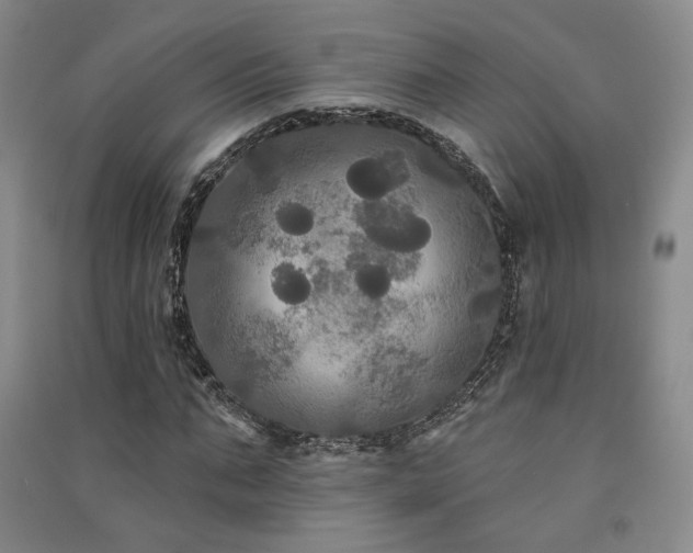 X0000091510871200708171154