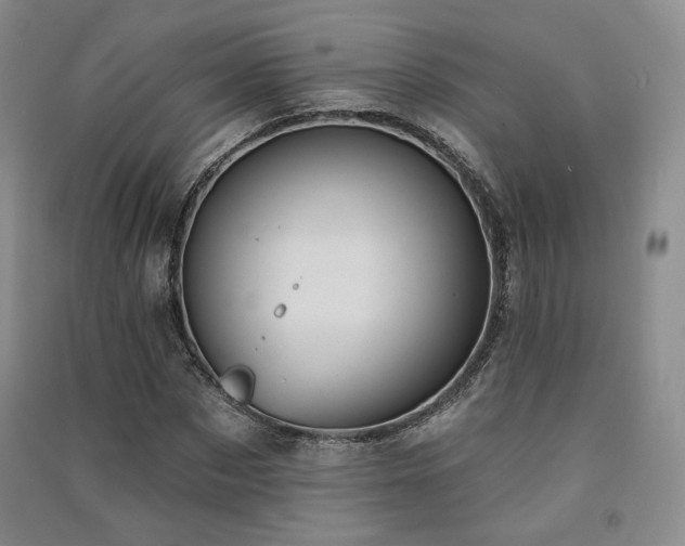 X0000091510873200708171154