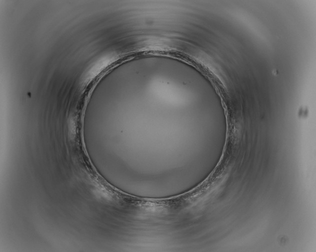 X0000091510874200708171154