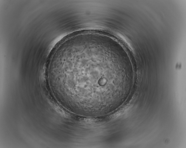 X0000091510875200708171154