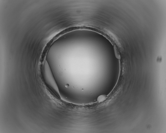 X0000091510876200708171154