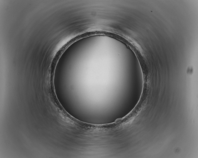 X0000091510877200708171154
