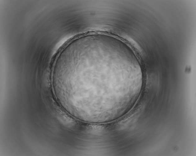 X0000091510878200708171153