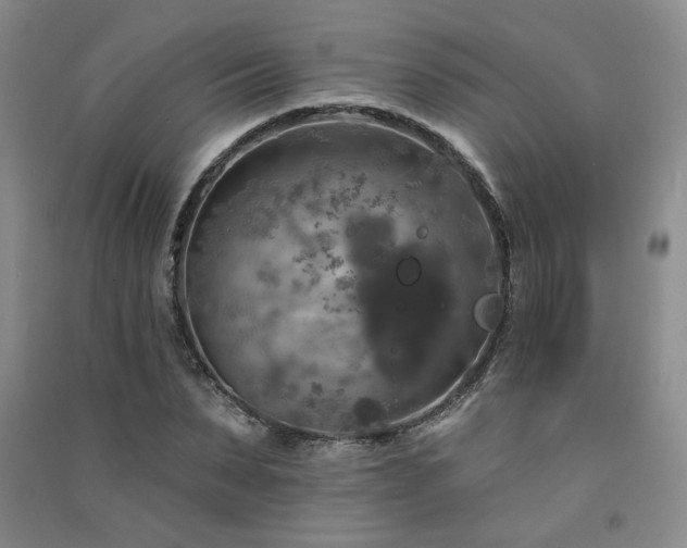 X0000091510879200708171153