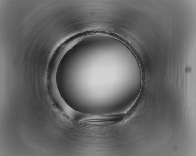 X0000091510880200708171153