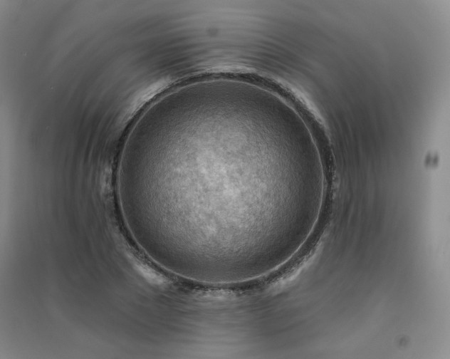 X0000091510881200708171153