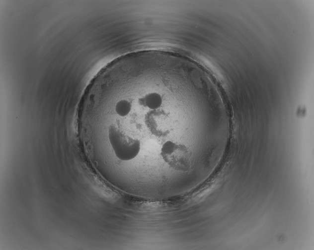 X0000091510883200708171153