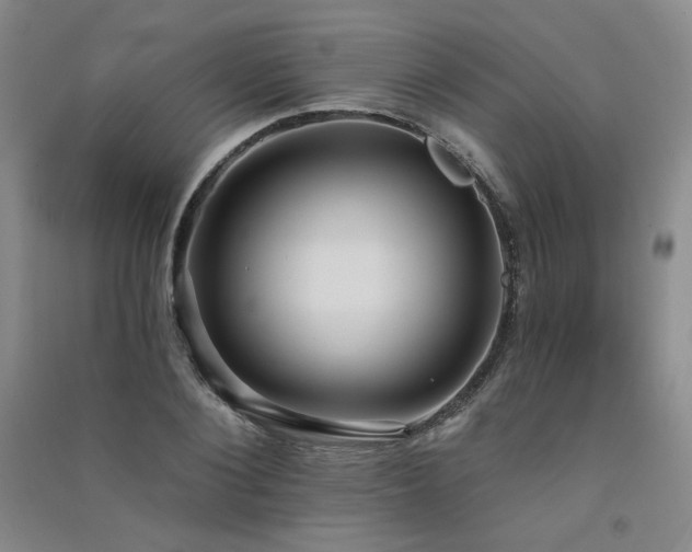 X0000091510884200708171153