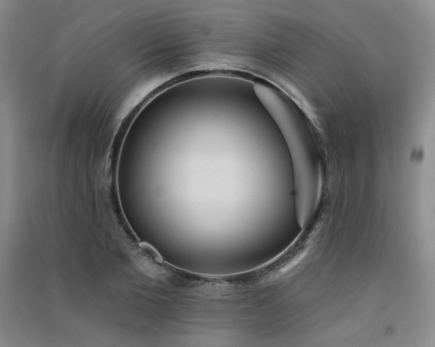 X0000091510885200708171153