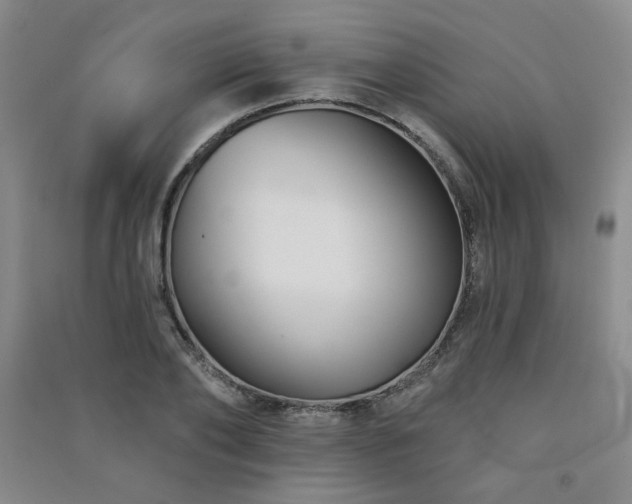 X0000091510886200708171153
