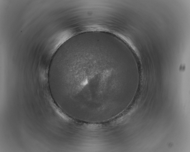 X0000091510889200708171153