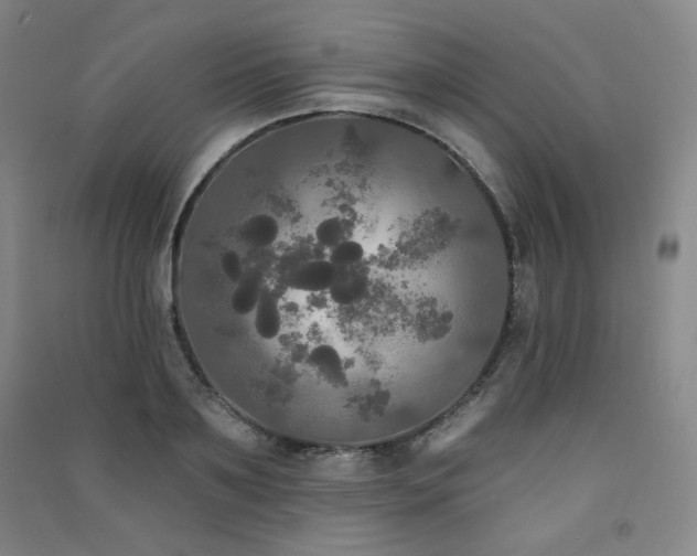 X0000091510891200708171153